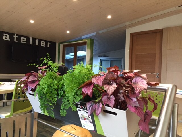 showroom Menuiserie Concept